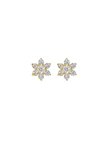 Kuyumcudukkani Vidalı"Çiçek"Küpe-31244-G-W